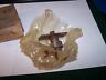 1439670 Mopar Dodge Cylinder Ignition Cam Plate Nos Nib New In