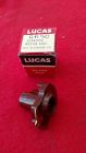 21941824 Lucas Nos Ignition Rotor