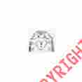 25-102838-1 Eckler S Corvette Ignition Shielding Kit Without Fuel Injection 1964