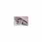 25-123404-1 Eckler S Corvette Ignition Shield Upper 1964