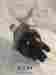 407043 40934 Lucas Hillman Husky Minx Super Distributor