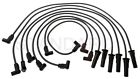 6821 Standard Motor Products Spark Plug Wire Set
