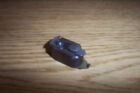 Rr21 Gilfillan Nors Chevrolet Reo Studebaker Overland Remy Distributor Rotor