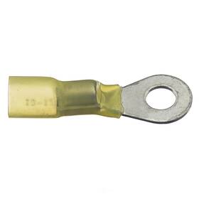 Stp363 Standard Motor Products Primary Ignition Terminal Stp363 Standard Motor Products Primary Ignition Terminal