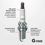 Spark Plug-g-power Ngk 2869. Fixed Price $25.99.
