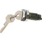 US-21L Ignition Lock Cylinder New For Chevy Le Sabre Express Savana Impala. Fixed Price $26.46.