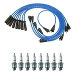 Ngk Ignition Kit For American Motors. Fixed Price $69.95.