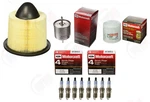 Motorcraft Tune Up Kit (platinum Plugs) 1996-1997 Ford Mustang 4.6L V8 Sohc. Fixed Price $129.90.