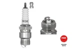 Ngk 2710 Spark Plug Ford. Fixed Price $6.38.