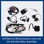 250CC Quad Electrics 150 200CC Zongshen Lifan Ducar Razor Cdi Coil Wire Harness. Fixed Price $49.85.