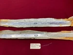 1964-1967 Nos Gm Oldsmobile F-85 Door Sill Plates. Fixed Price $285.00.