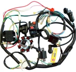 Electrics Wiring Harness Cdi Holes Stator Atv Quad 200 250CC Coolster Kazuma. Fixed Price $79.99.