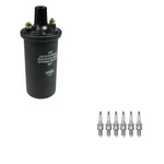 Ngk Ignition Coil Kit For Pontiac Lemans Tempest Dart Hornet Dodge. Fixed Price $59.95.