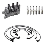 Denso Ignition Coil Wires Ngk Nickel Spark Plugs Kit For Mustang V6. Fixed Price $147.95.